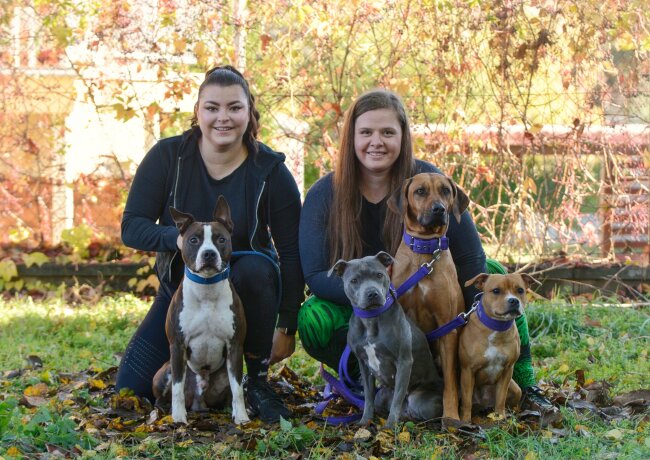 Picsart_23-11-07_22-50-48-921